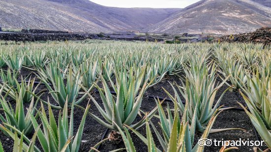 品牌故事圖片/品牌故事樣板圖 (2)