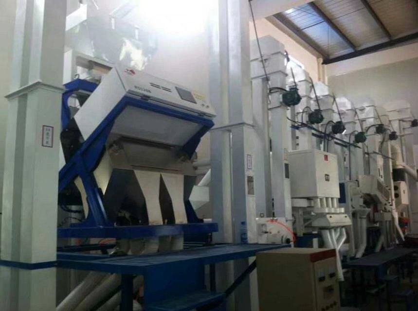 芝麻色選機(jī)圖片