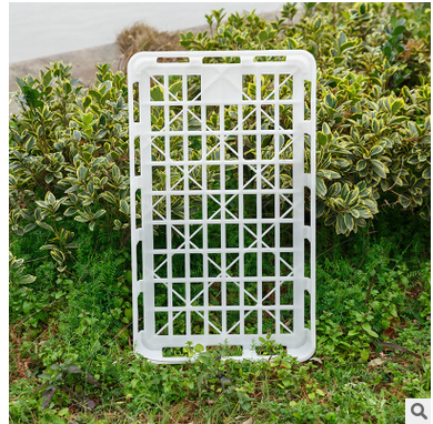 實驗組培筐價格圖片