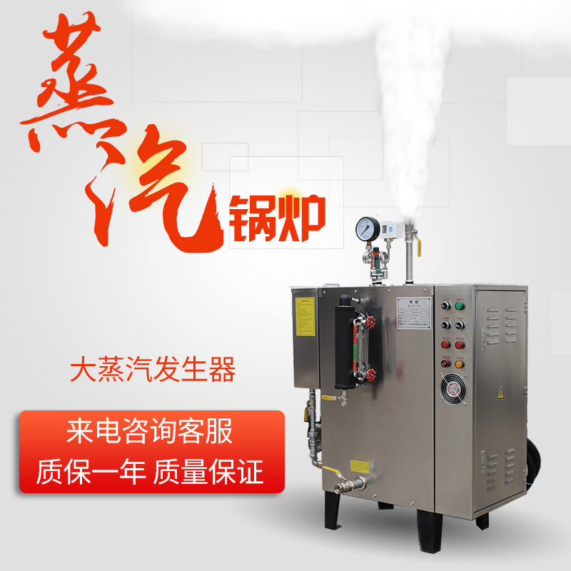 蒸汽發(fā)生器鍋爐圖片/蒸汽發(fā)生器鍋爐樣板圖 (4)