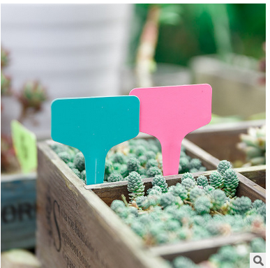 園藝標(biāo)簽圖片/園藝標(biāo)簽樣板圖 (1)