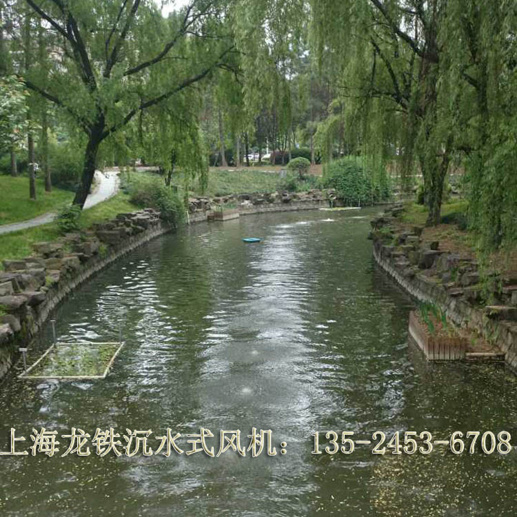 沉水風(fēng)機(jī)圖片/沉水風(fēng)機(jī)樣板圖 (1)