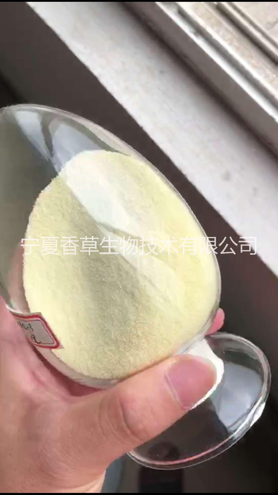 玉米胚芽油圖片/玉米胚芽油樣板圖 (2)