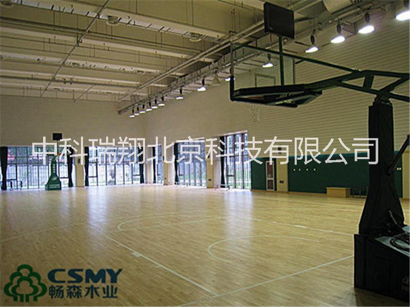 運動地板圖片/運動地板樣板圖 (4)