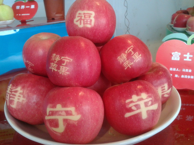 紅富士蘋果圖片/紅富士蘋果樣板圖 (1)