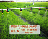 蘆筍種子圖片/蘆筍種子樣板圖 (4)