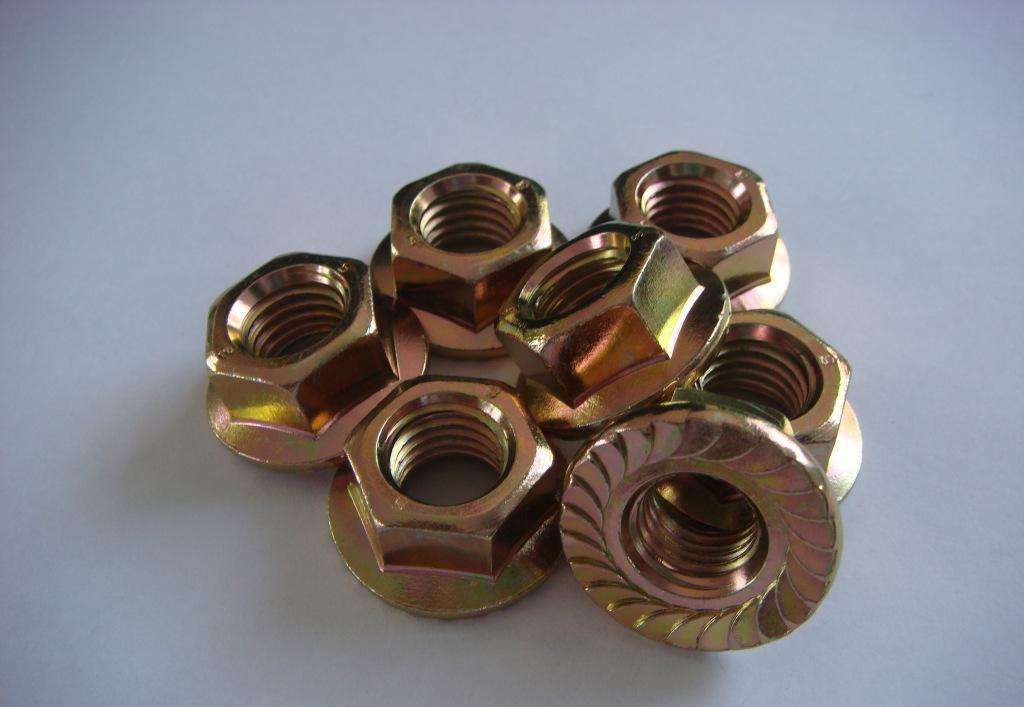 法蘭螺母圖片/法蘭螺母樣板圖 (3)