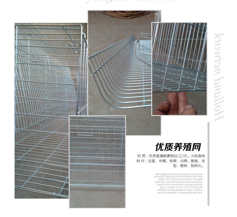 鐵絲兔圖片/鐵絲兔樣板圖 (3)