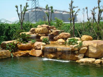 深圳花園設(shè)計教你如何換土種植圖片/深圳花園設(shè)計教你如何換土種植樣板圖 (1)