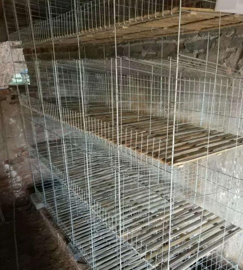 竹底板圖片/竹底板樣板圖 (3)