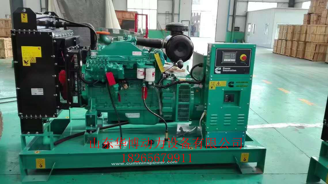 康明斯100千瓦發(fā)電機組圖片/康明斯100千瓦發(fā)電機組樣板圖 (2)
