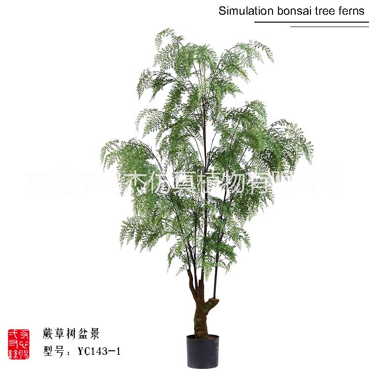仿真波斯葉蕨草盆景羊齒蕨水杉葉巴熱帶仿真波斯蕨草盆景仿真波斯蕨草盆景YC143-1