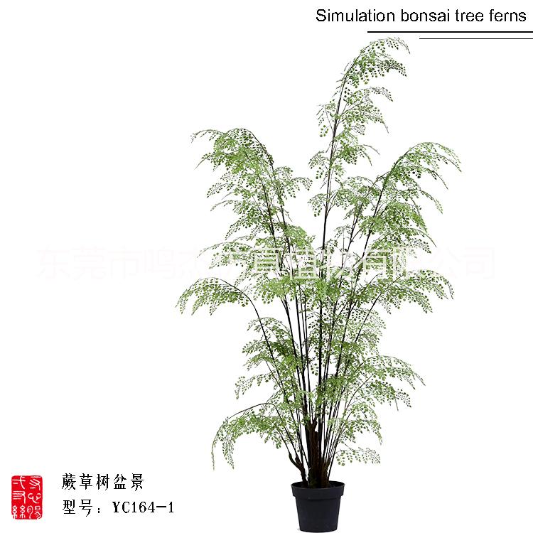 仿真波斯葉蕨草盆景羊齒蕨水杉葉巴 熱帶仿真波斯蕨草盆景 仿真波斯蕨草盆景 仿真波斯蕨草盆景仿真波斯蕨草盆景YC164-1