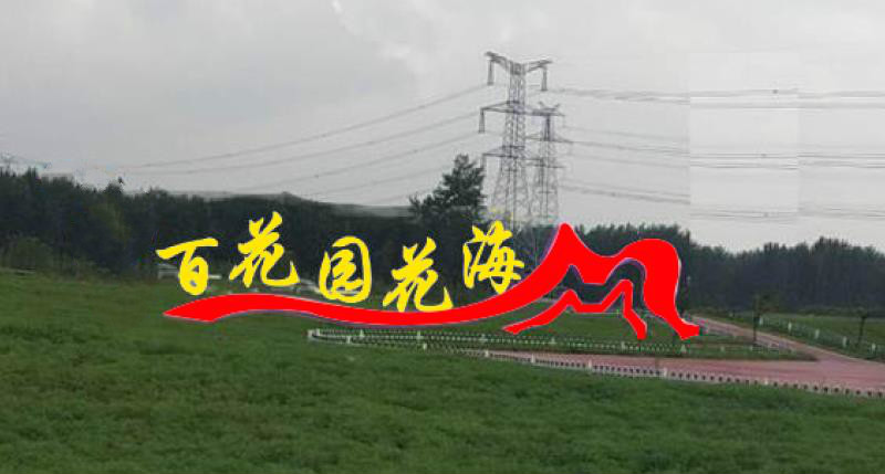 花海不銹鋼雕塑造型