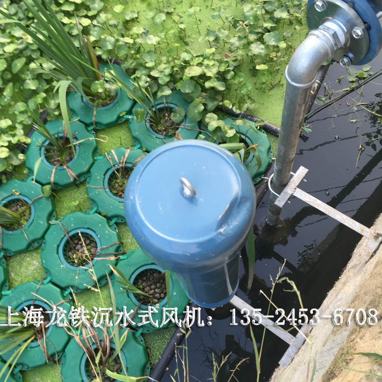 蘇州河道治理沉水式羅茨鼓風(fēng)機圖片/蘇州河道治理沉水式羅茨鼓風(fēng)機樣板圖 (4)