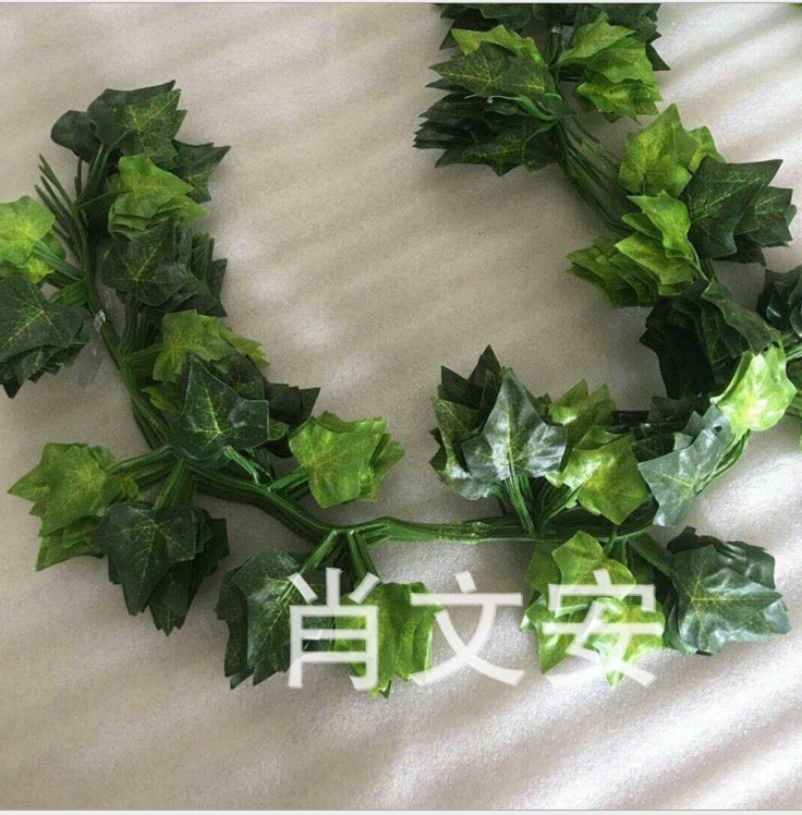 仿真藤條葉子圖片/仿真藤條葉子樣板圖 (3)