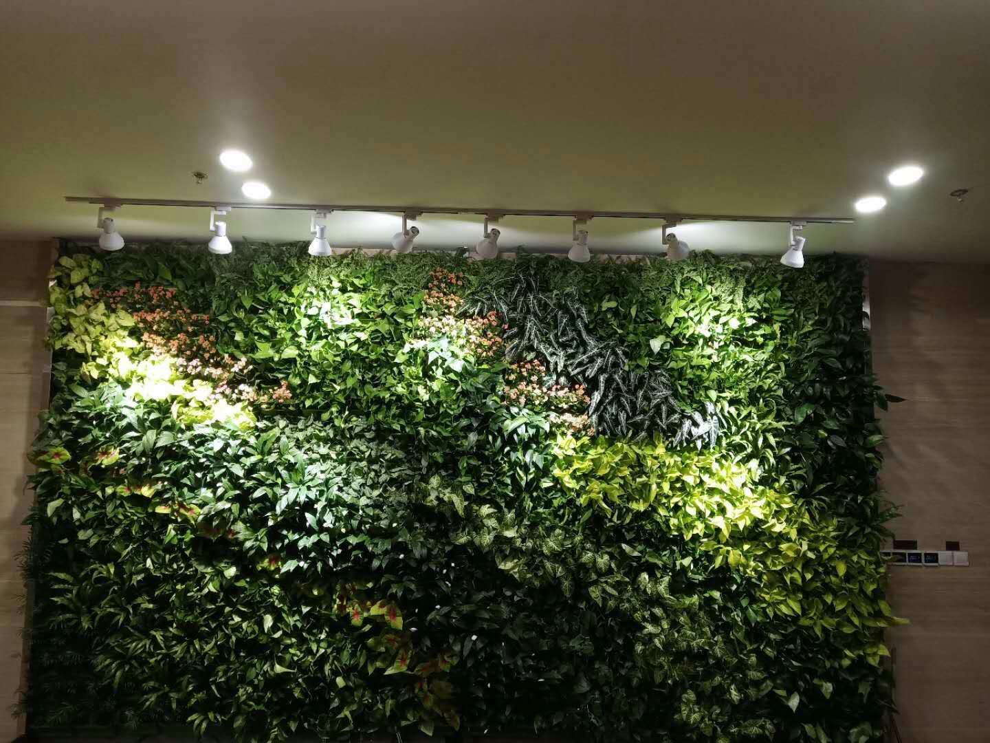 植物墻圖片/植物墻樣板圖 (1)