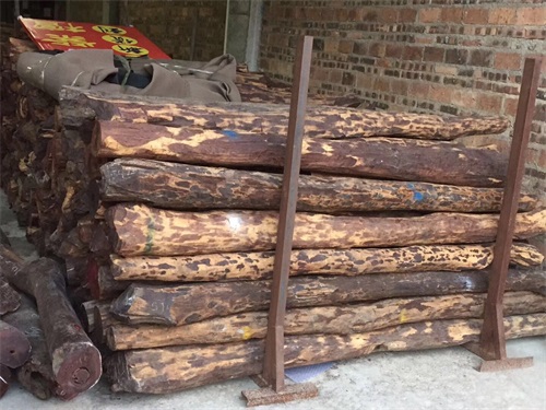 印度小葉紫檀圖片/印度小葉紫檀樣板圖 (3)