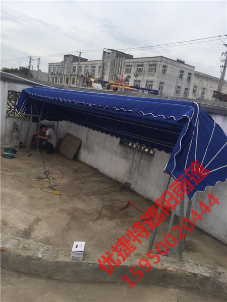 車遮陽蓬圖片/車遮陽蓬樣板圖 (3)