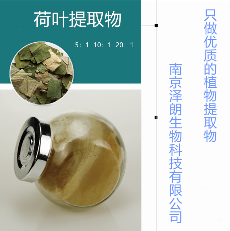 荷葉提取物圖片/荷葉提取物樣板圖 (1)