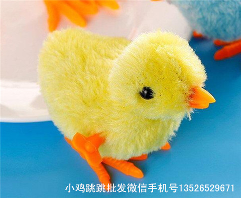 毛絨小雞圖片/毛絨小雞樣板圖 (1)