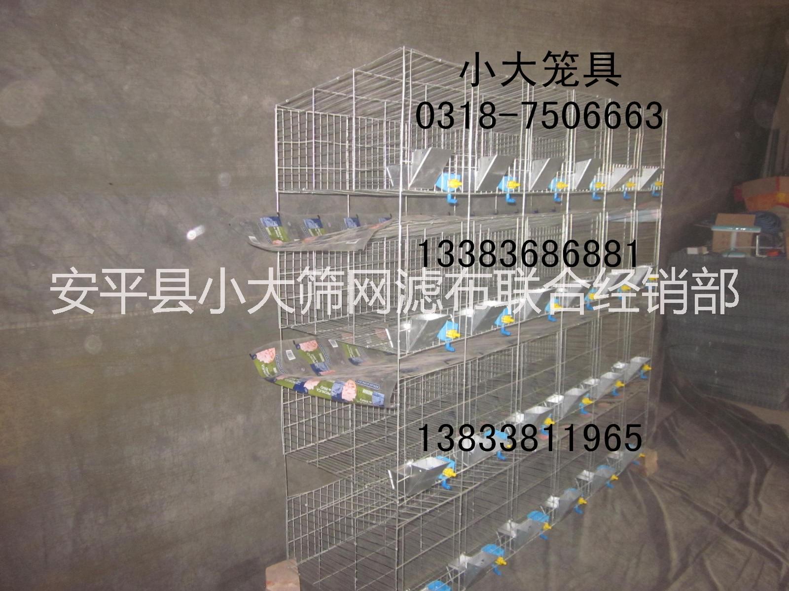 狐貍籠圖片/狐貍籠樣板圖 (4)