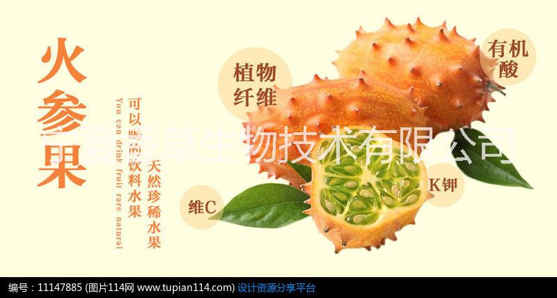 果粉圖片/果粉樣板圖 (4)