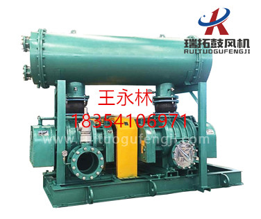 生產(chǎn)魯氏風(fēng)機(jī)的廠(chǎng)家