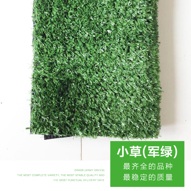 小草圖片/小草樣板圖 (4)