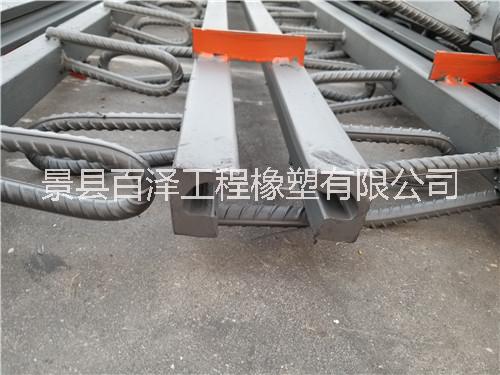 C型橋梁伸縮縫圖片/C型橋梁伸縮縫樣板圖 (3)