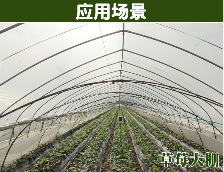 建蔬菜大棚圖片/建蔬菜大棚樣板圖 (2)