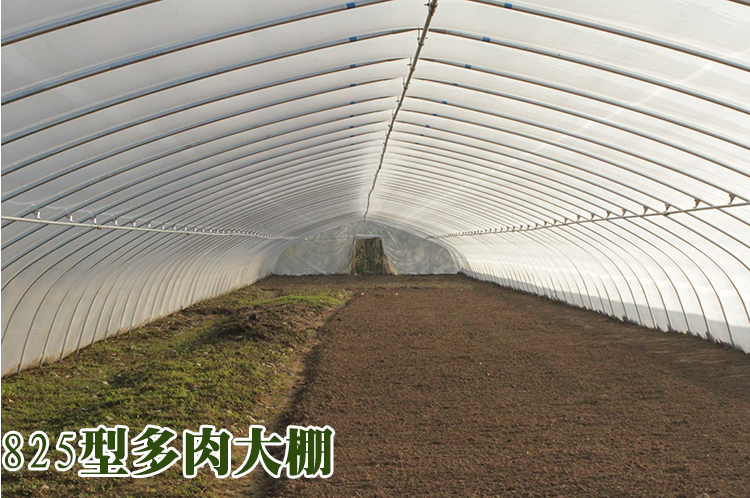 建蔬菜大棚圖片/建蔬菜大棚樣板圖 (3)