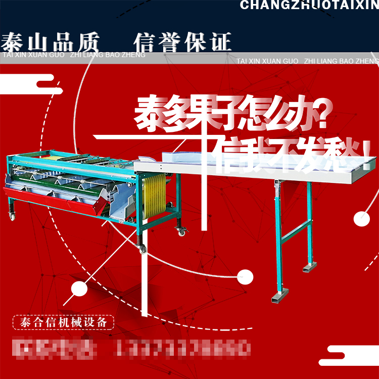 泰信牌福仔枣青枣基础款分级机 分选机 果蔬分大分级精准效率高