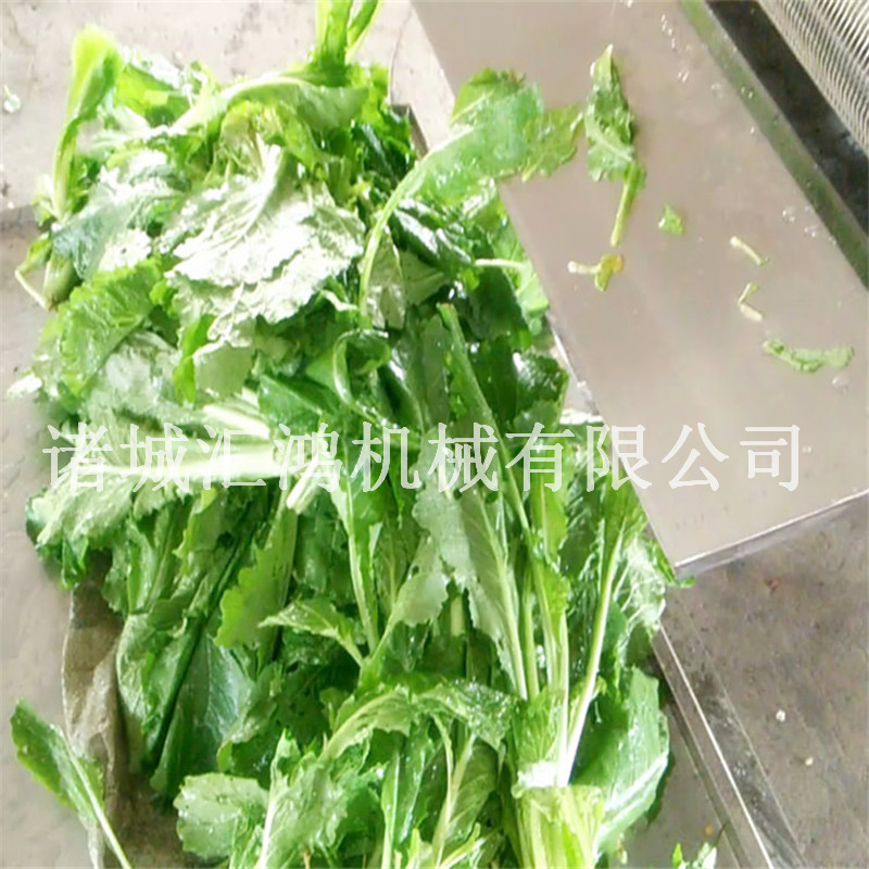 果蔬气泡清洗机 自动洗菜机价格 叶类蔬菜清洗机 连续果蔬加工设备图片