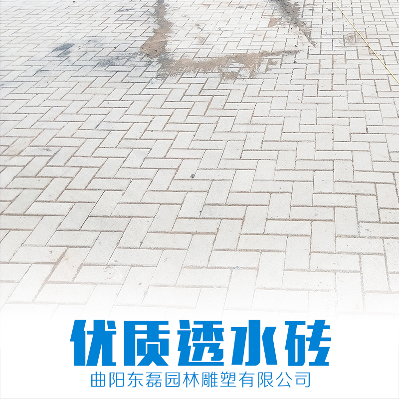 優(yōu)質(zhì)透水磚圖片/優(yōu)質(zhì)透水磚樣板圖 (1)