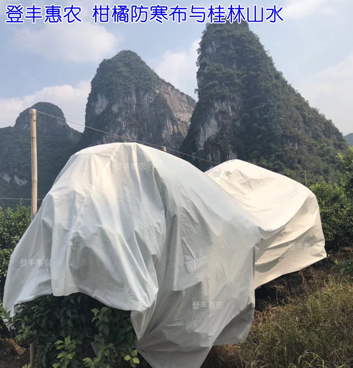 沃柑防寒布，柑桔防寒布廠家直銷圖片/沃柑防寒布，柑桔防寒布廠家直銷樣板圖 (1)