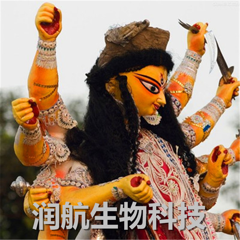 印度樹膠圖片/印度樹膠樣板圖 (1)