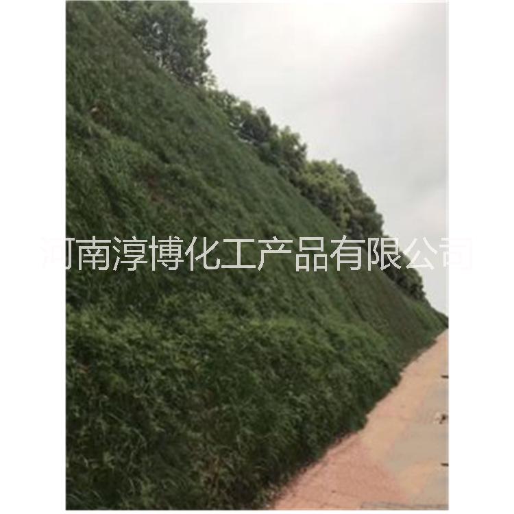 綠化噴播圖片/綠化噴播樣板圖 (2)