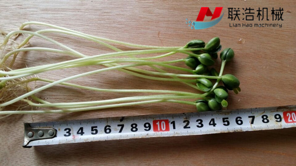 聯(lián)浩全自動芽苗菜機/芽苗菜機價格圖片/聯(lián)浩全自動芽苗菜機/芽苗菜機價格樣板圖 (1)