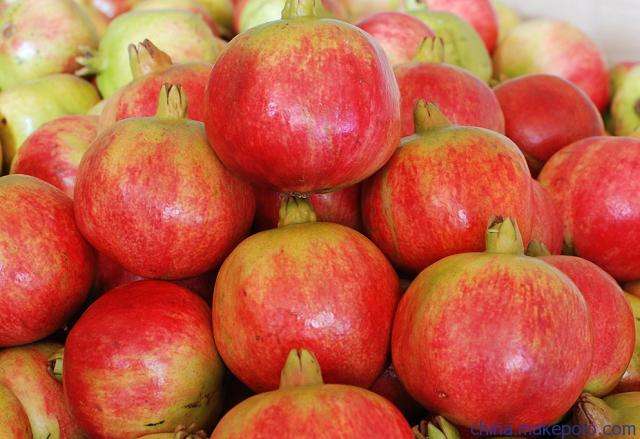 軟籽石榴圖片/軟籽石榴樣板圖 (2)