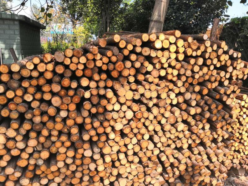 木條 木條報價 木條電話 木條批發(fā) 木條哪家好 木條供應(yīng)商