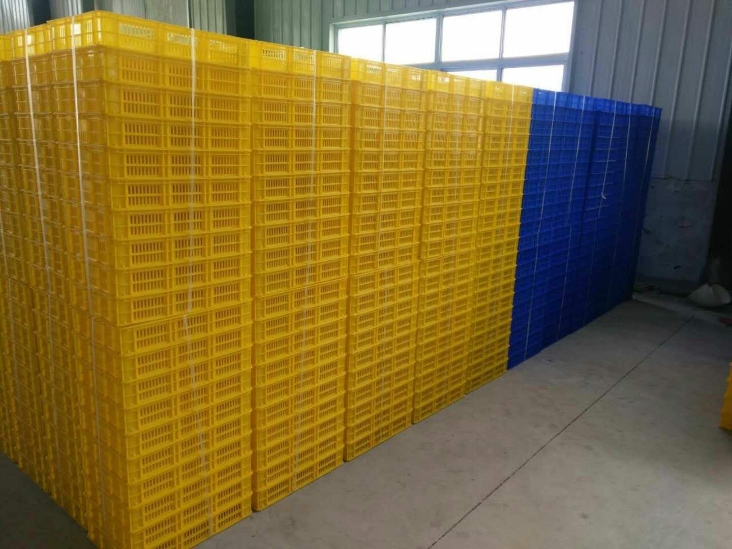 山東塑料冷凍盤圖片/山東塑料冷凍盤樣板圖 (4)