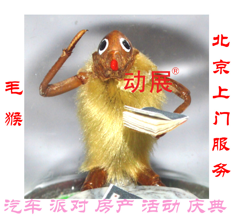 老北京毛猴DIY制作圖片/老北京毛猴DIY制作樣板圖 (1)