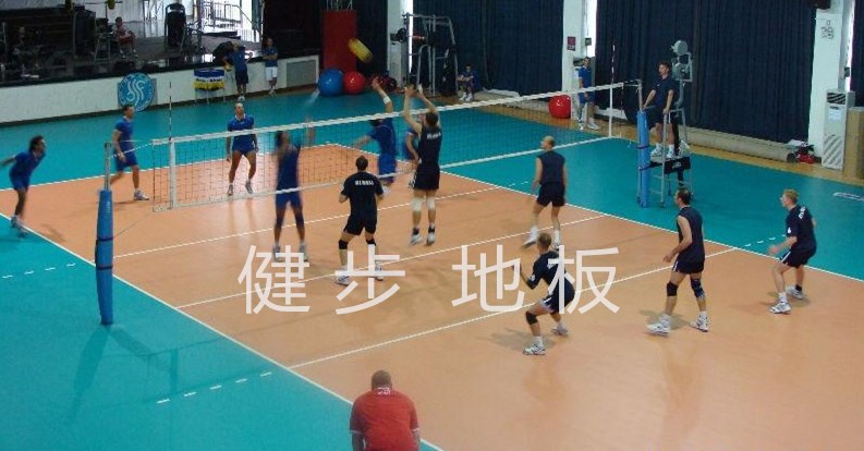 供應(yīng)番禺市橋運動地板乒乓球地板圖片/供應(yīng)番禺市橋運動地板乒乓球地板樣板圖 (2)