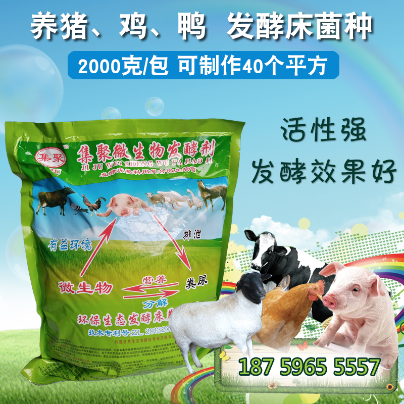 異位發(fā)酵床專用菌種圖片/異位發(fā)酵床專用菌種樣板圖 (1)