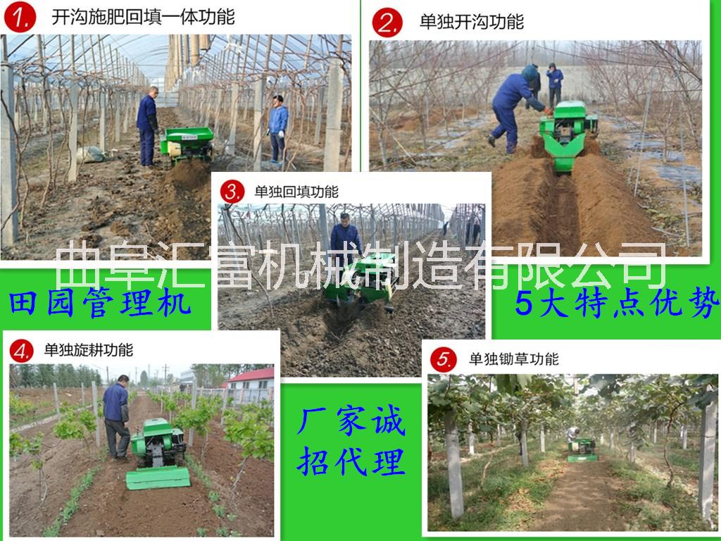 小型微耕機圖片/小型微耕機樣板圖 (2)