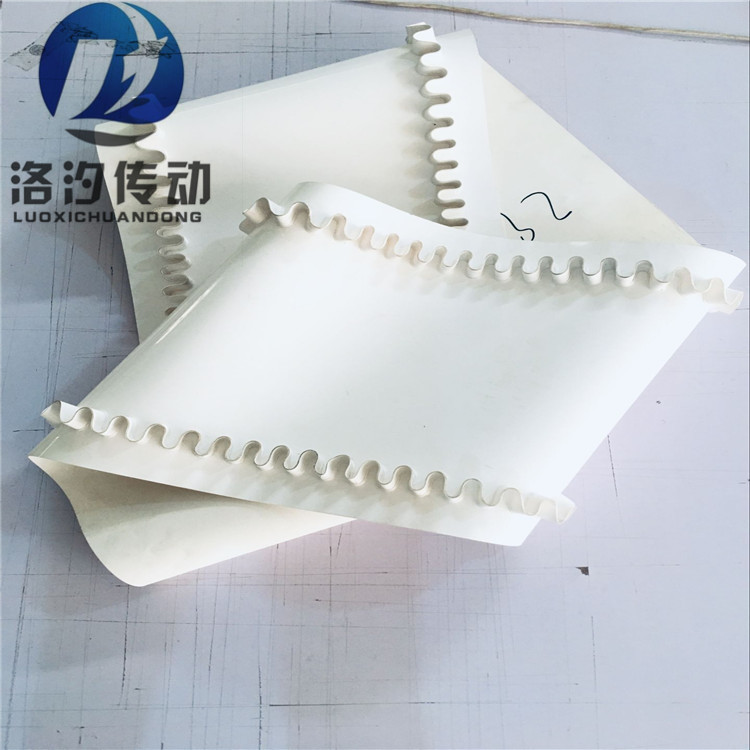 裙邊擋板輸送帶圖片/裙邊擋板輸送帶樣板圖 (2)