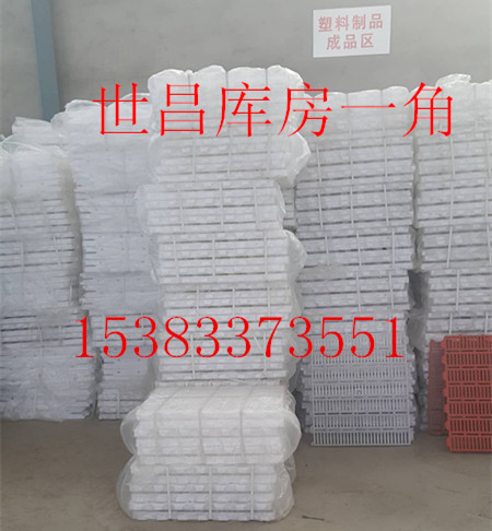 板尺寸圖片/板尺寸樣板圖 (1)