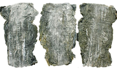 干海帶圖片/干海帶樣板圖 (2)