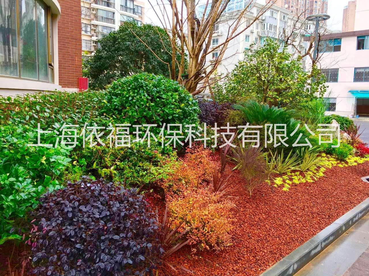 火山巖圖片/火山巖樣板圖 (4)